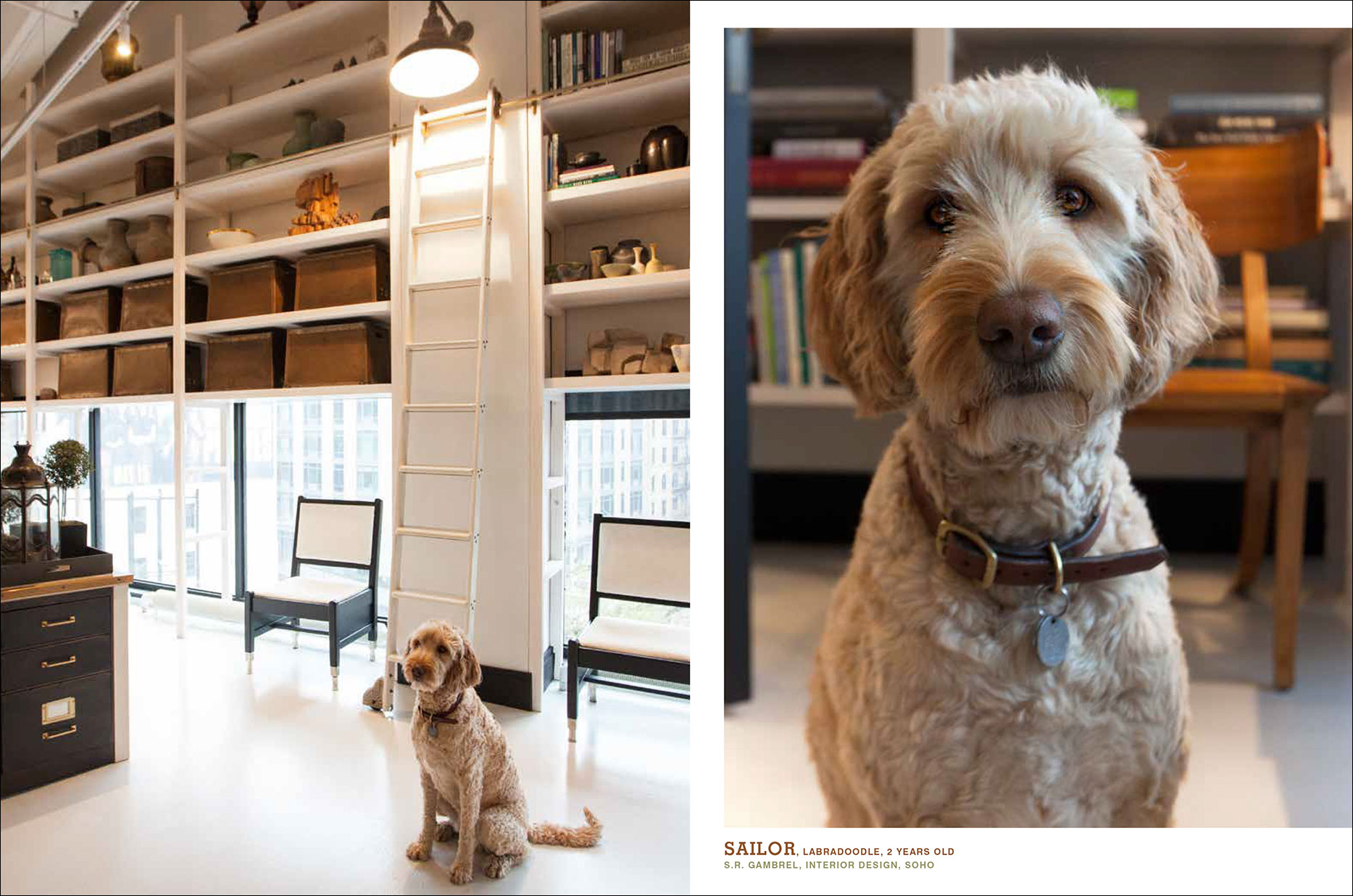 Dogs_LR-59-gambrel